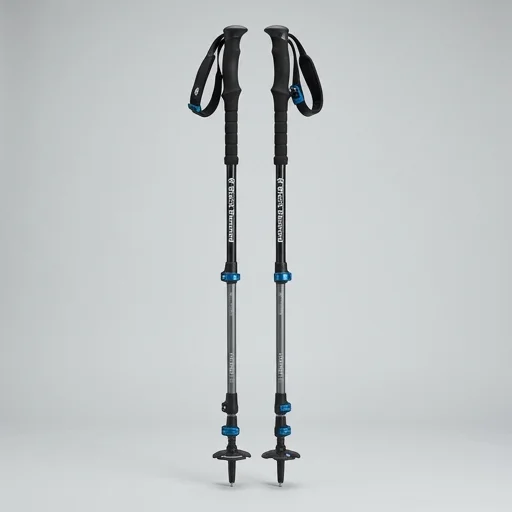 Black Diamond Traverse Ski Poles